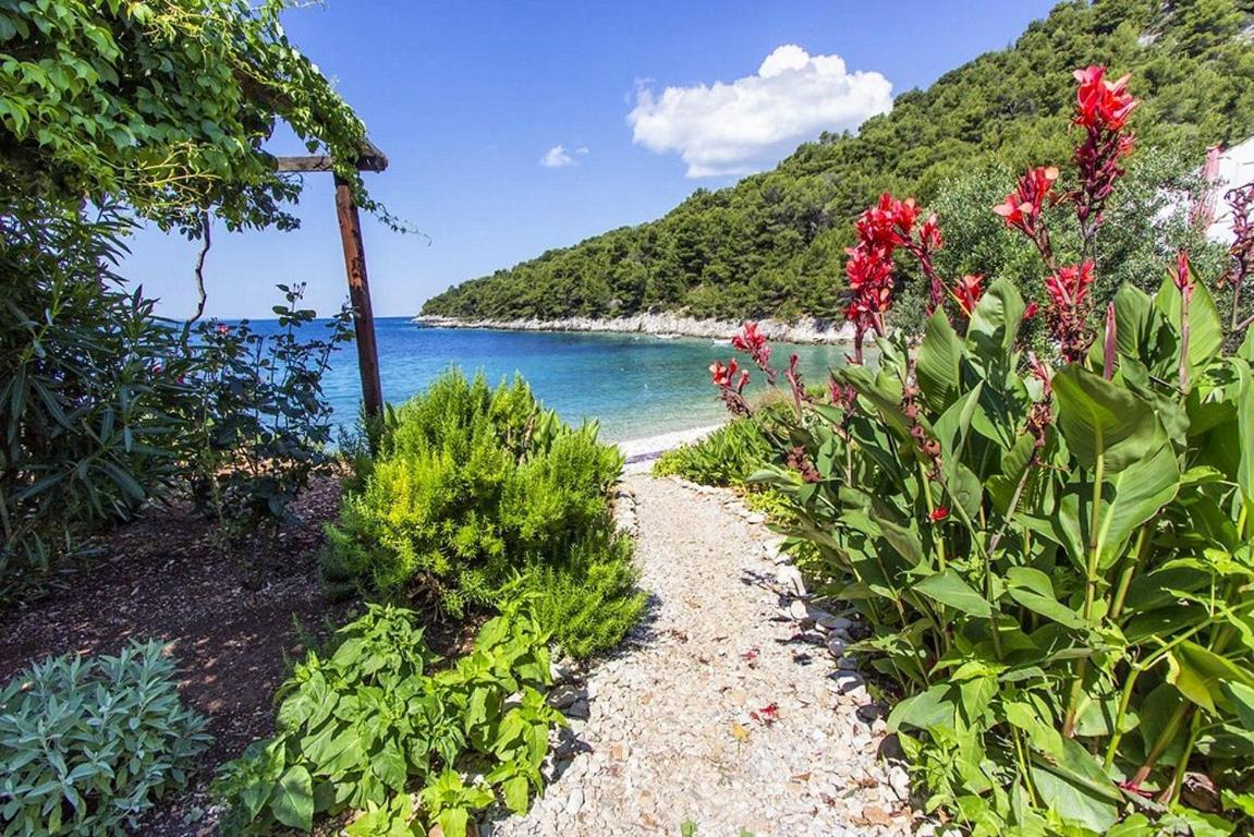 Seaside Secluded Apartments Cove Skozanje, Hvar - 5713 Gdinj Exteriér fotografie